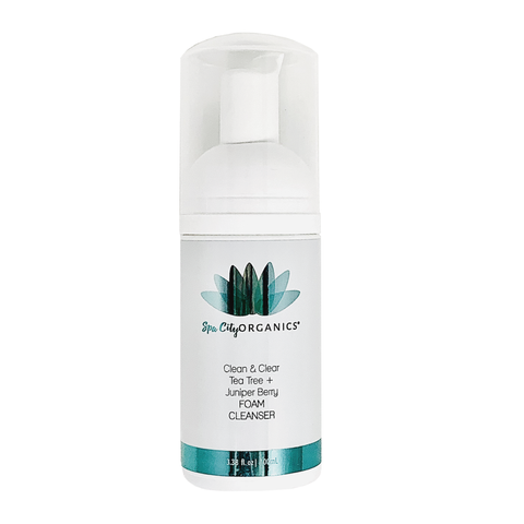 Clean & Clear Tea Tree + Juniper Berry Foam Cleanser